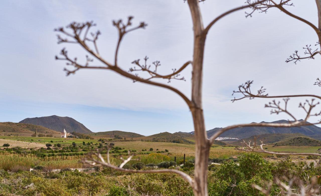El Agave El Pozo de los Frailes Dış mekan fotoğraf